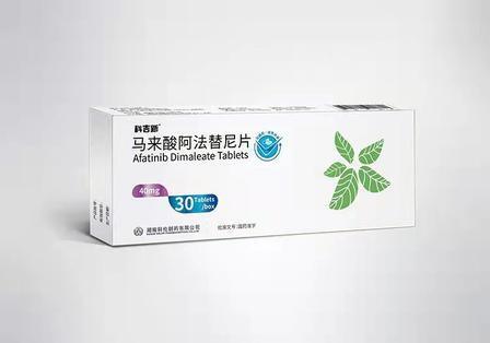 Buy Afatinib Maleate Tablets 40mg Irreversible EGFR HER2 HER4 TKI Blocker for First Line NSCLC Treatment online manufacture